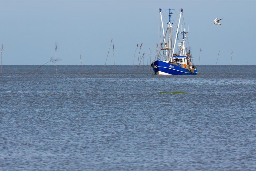 Cuxland-Ferienpark Nordseebad Dorum Bagian luar foto