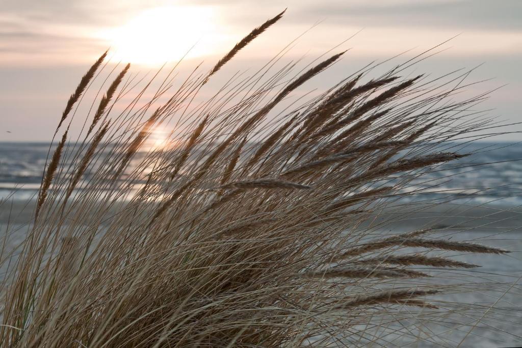 Cuxland-Ferienpark Nordseebad Dorum Bagian luar foto